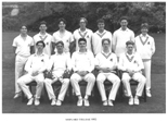 1993 Cricket XI